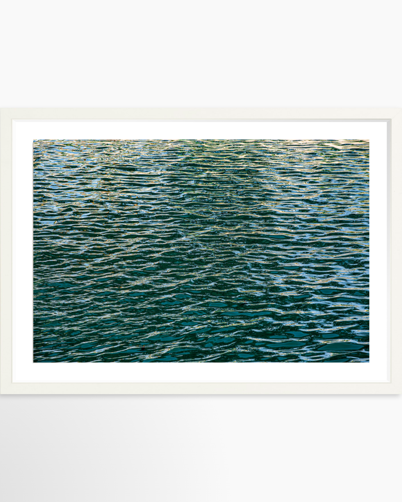 16x24 / Print / White