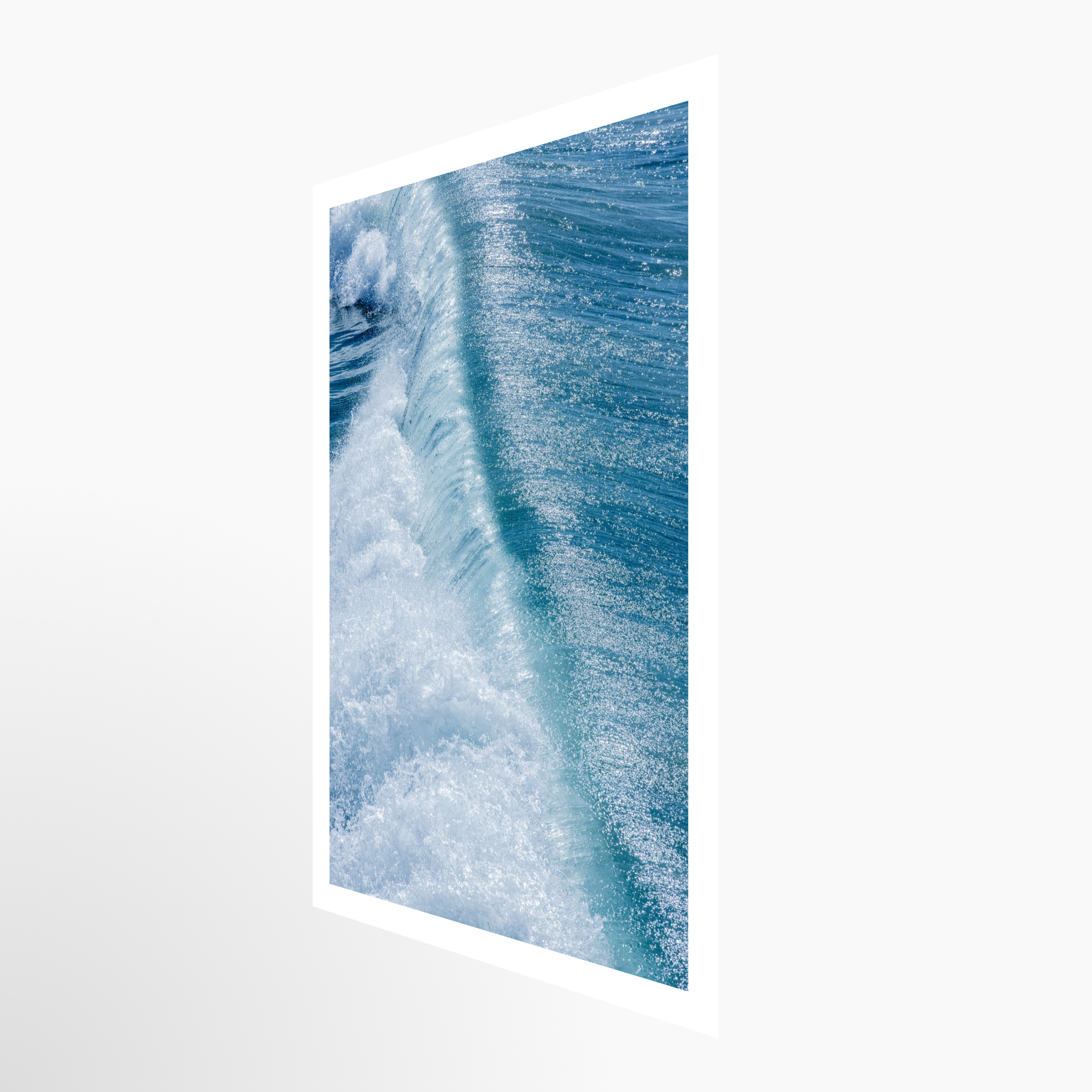 16x24 / Print / None