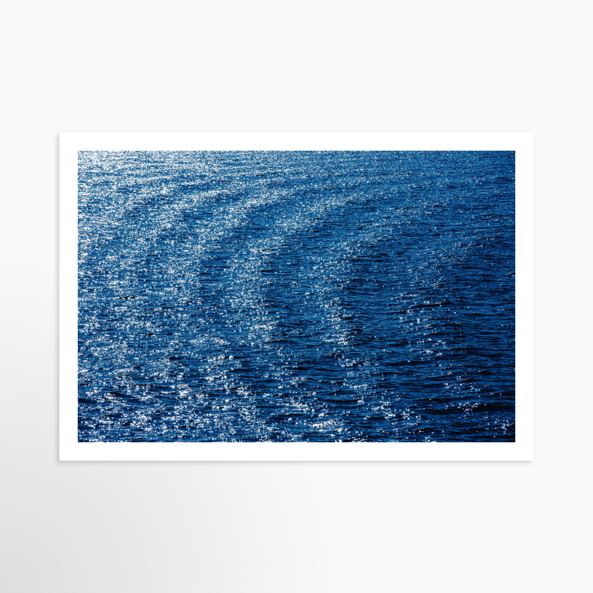 16x24 / Print / None