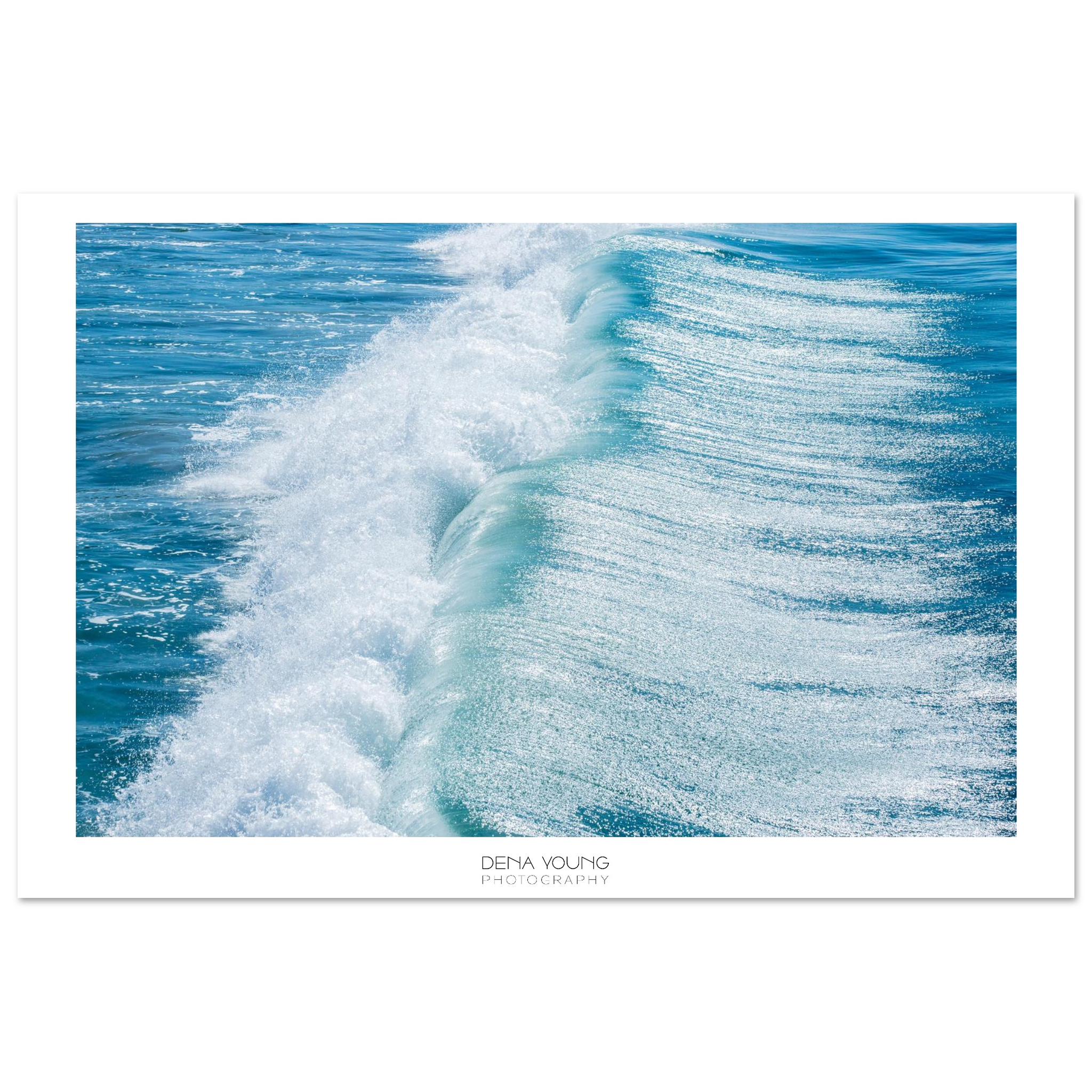 f78f8354-ac36-42a7-bac0-2101c59f1ad4