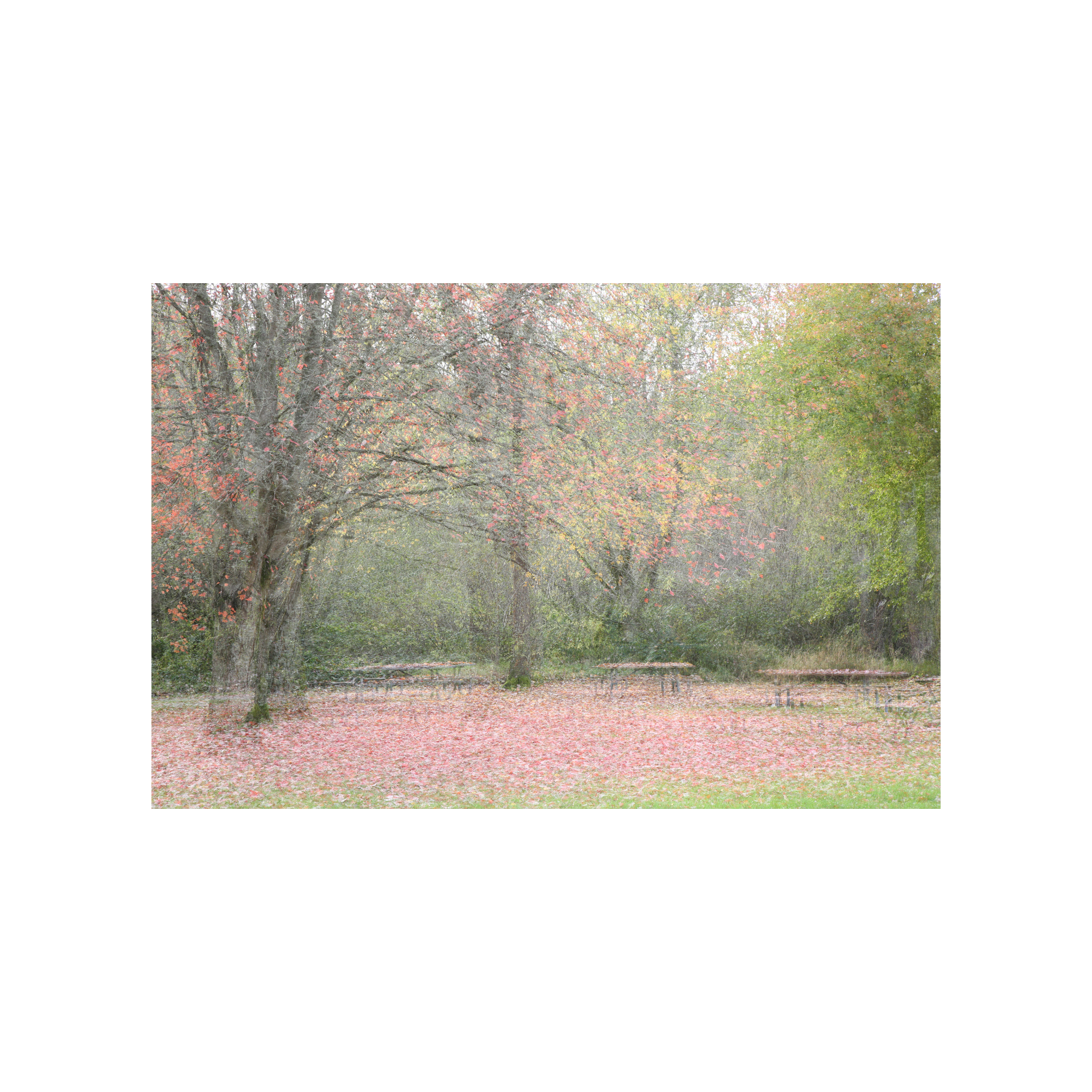 Multiple Exposure