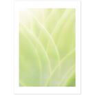 0bf96bca-7c29-430b-9429-08e667c0b7aa