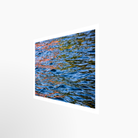 16x24 / Print / None