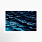 16x24 / Print / None