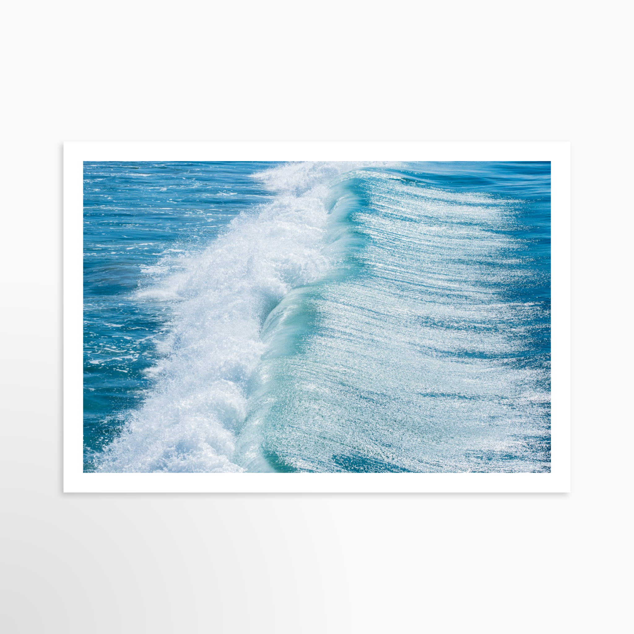 16x24 / Print / None