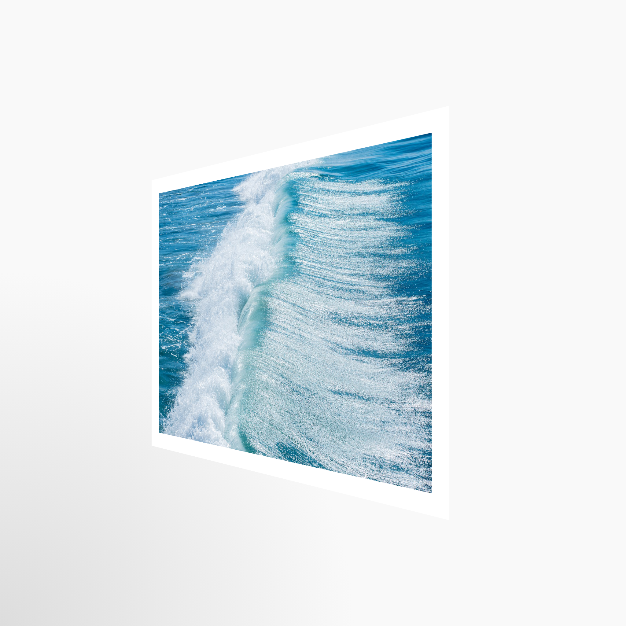 16x24 / Print / None