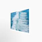 16x24 / Print / None