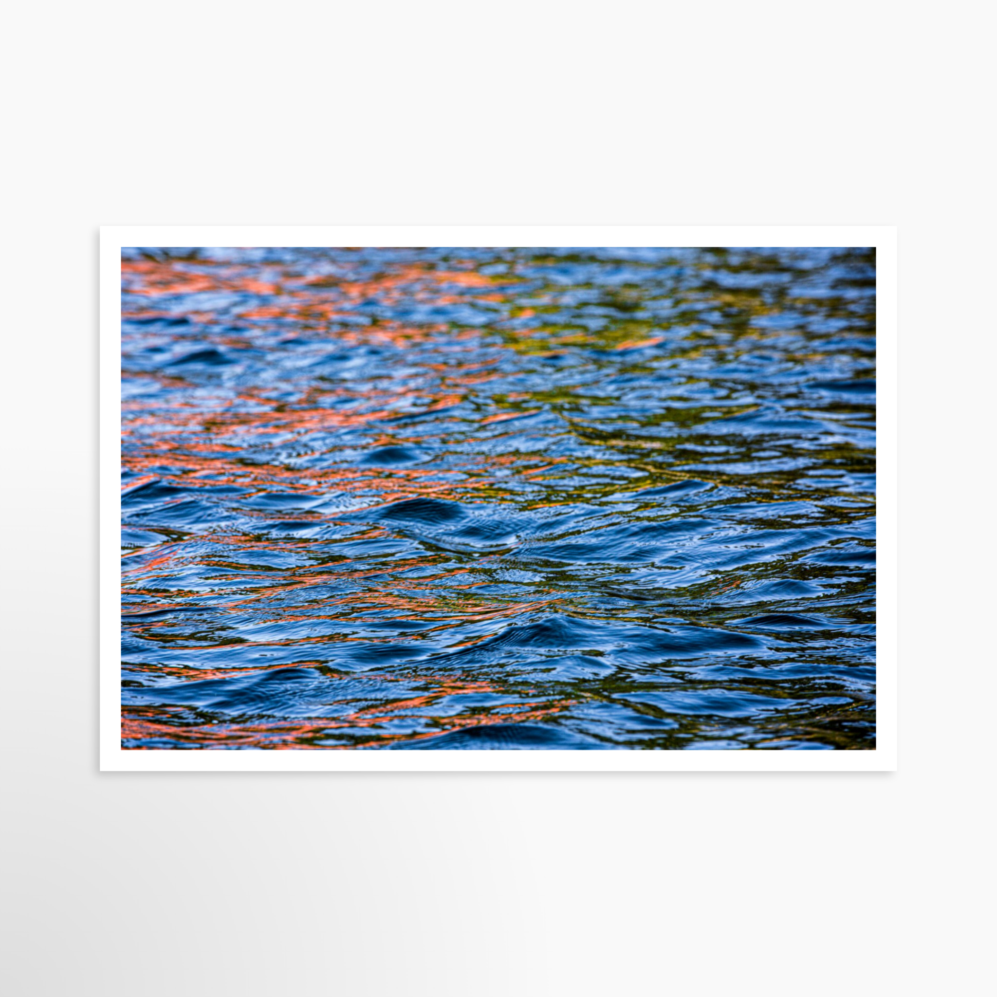 24x36 / Print / None