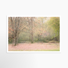 24x36 / Print / None