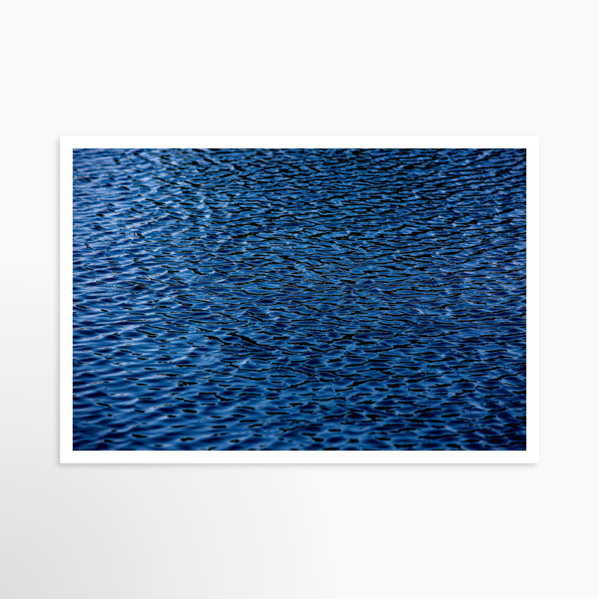 24x36 / Print / None