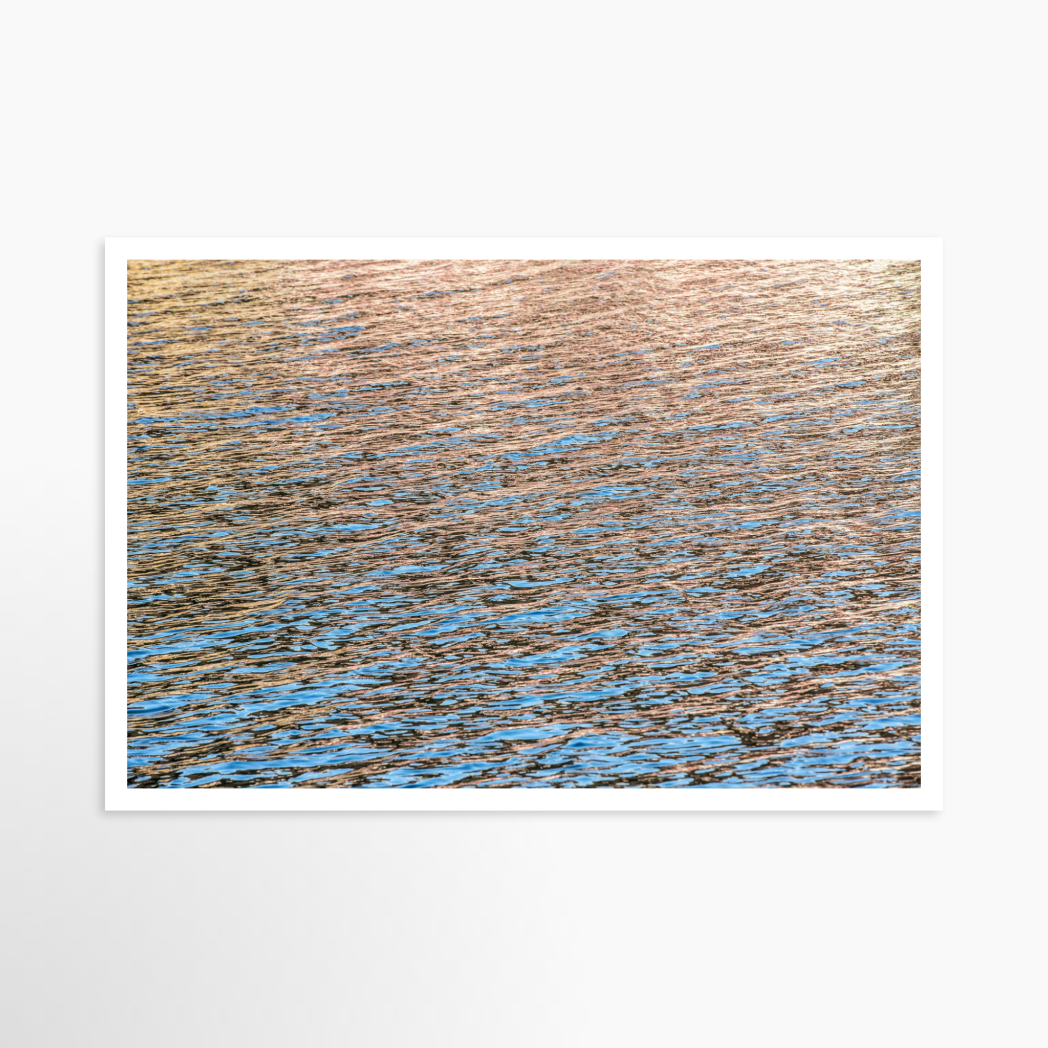 24x36 / Print / None