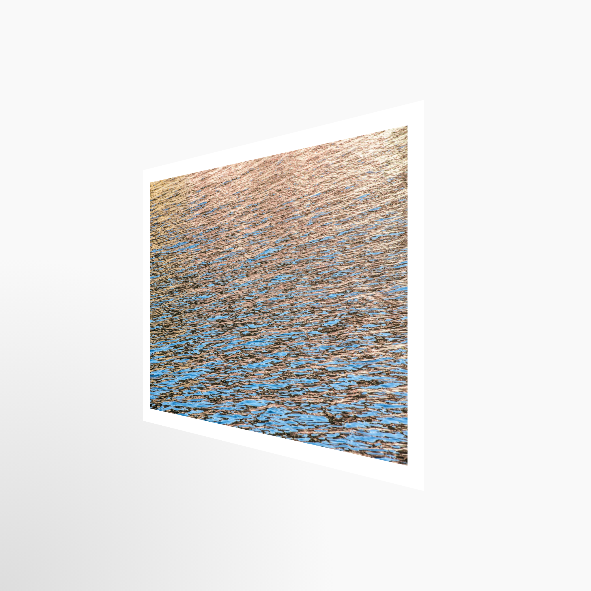 16x24 / Print / None