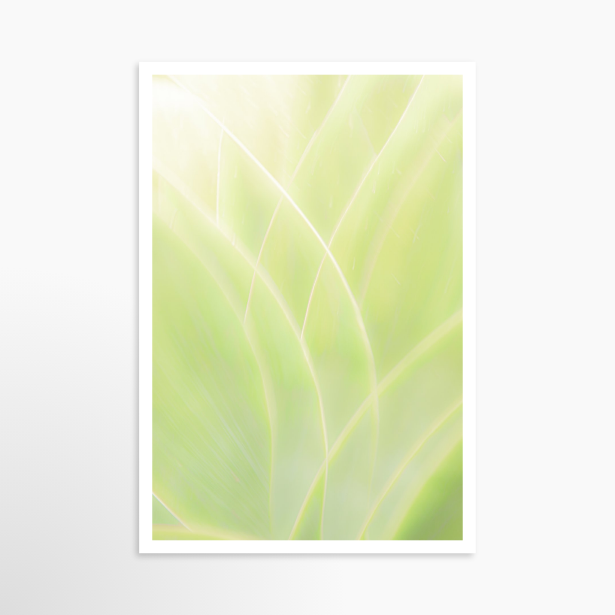 24x36 / Print / None