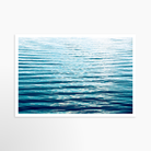24x36 / Print / None