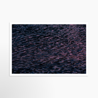 24x36 / Print / None