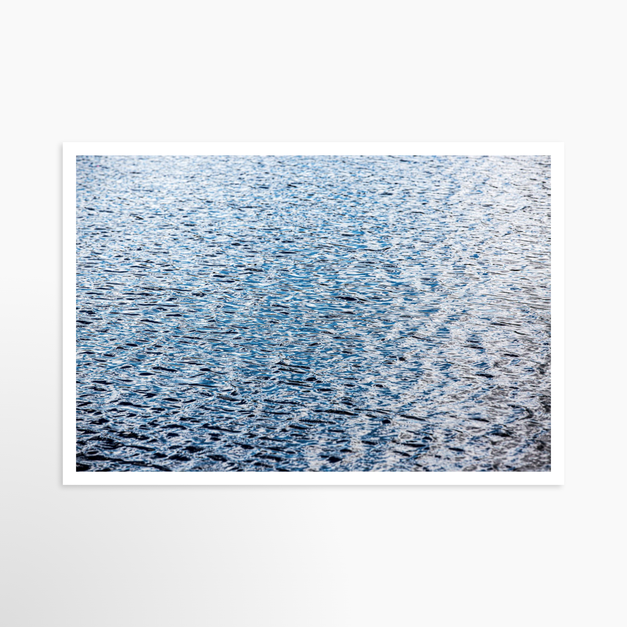 24x36 / Print / None