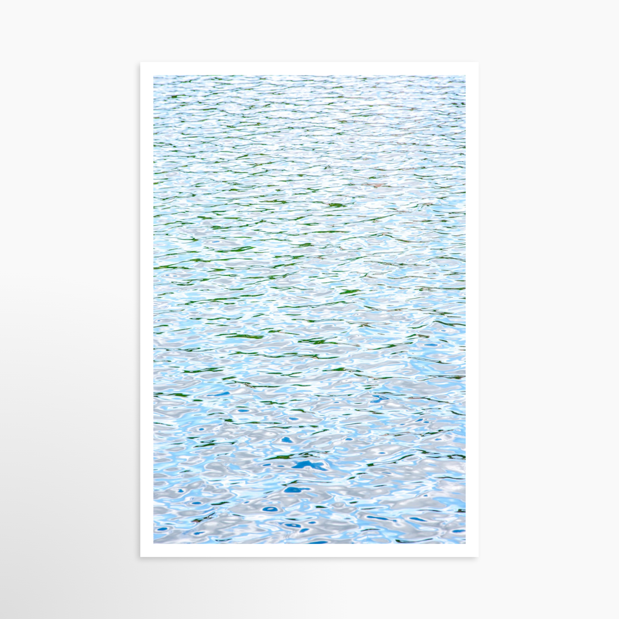24x36 / Print / None