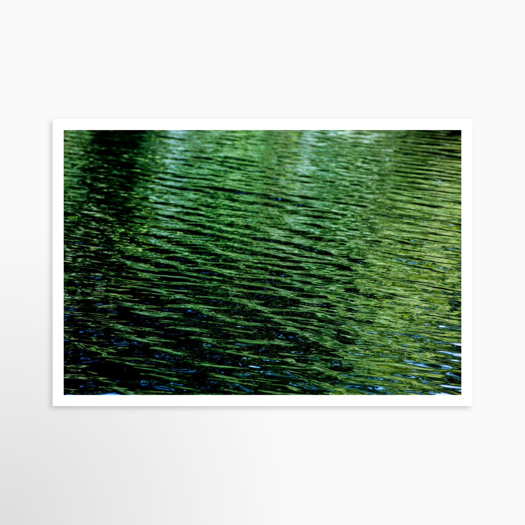 24x36 / Print / None