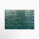 24x36 / Print / None