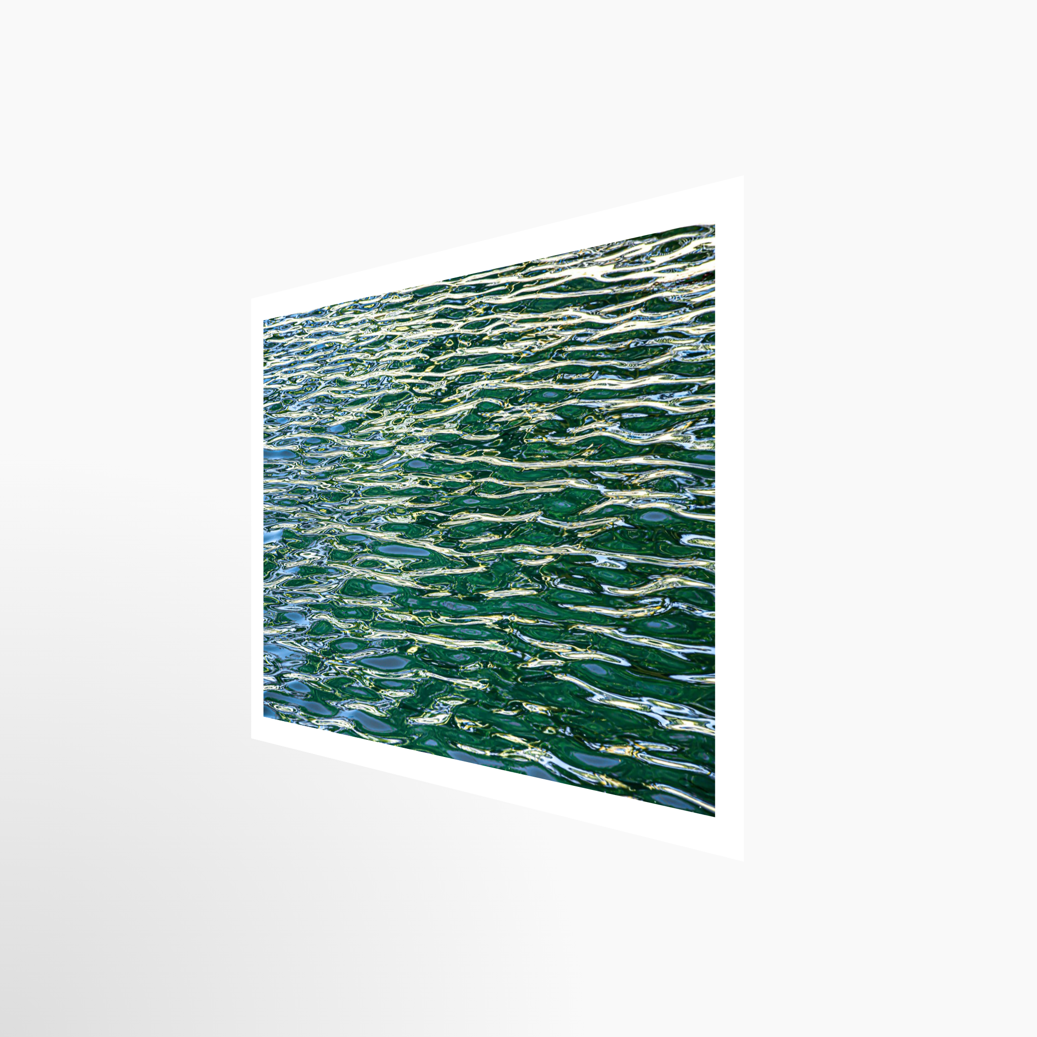 16x24 / Print / None