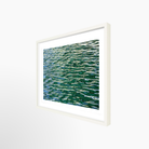 16x24 / Print / White