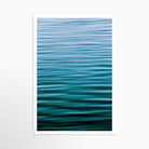 24x36 / Print / None