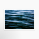 24x36 / Print / None