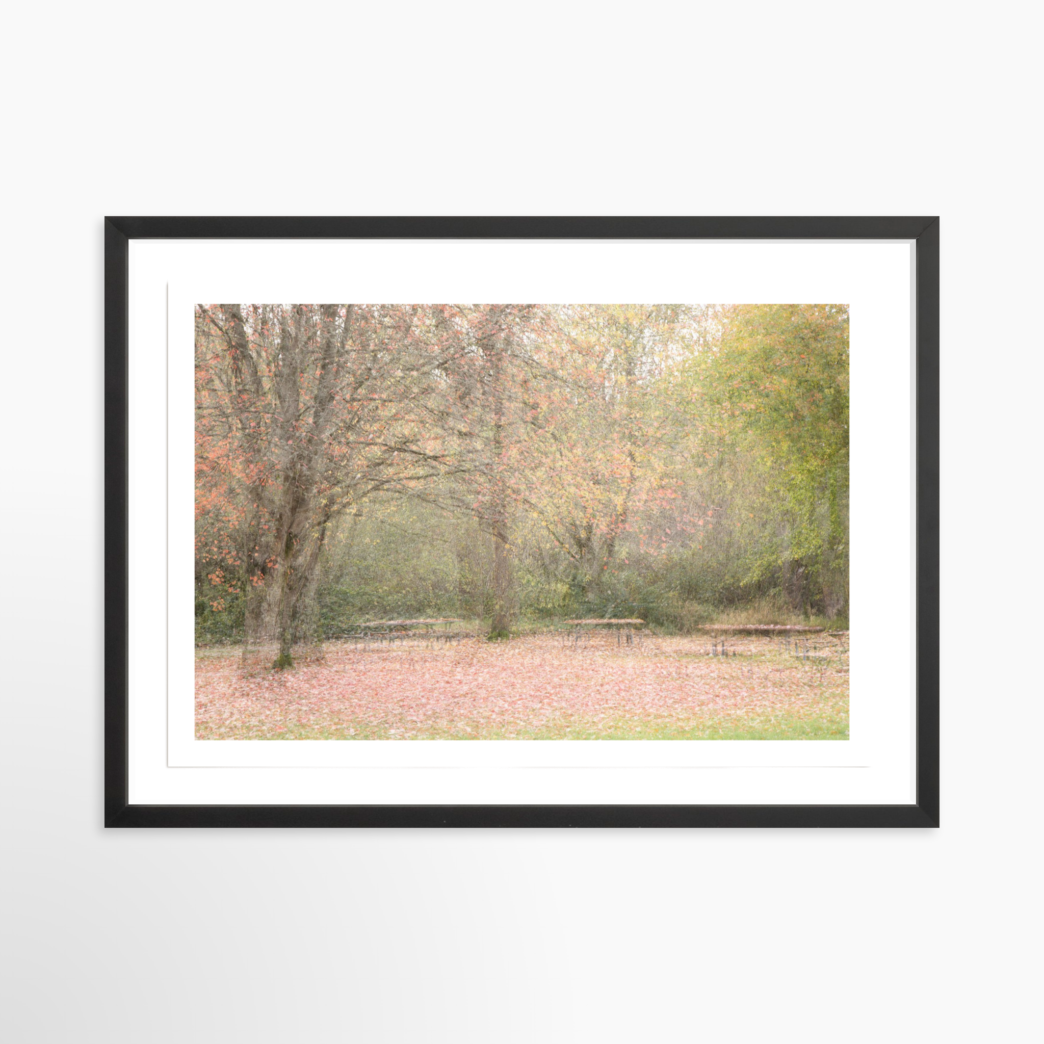 16x24 / Print / Black