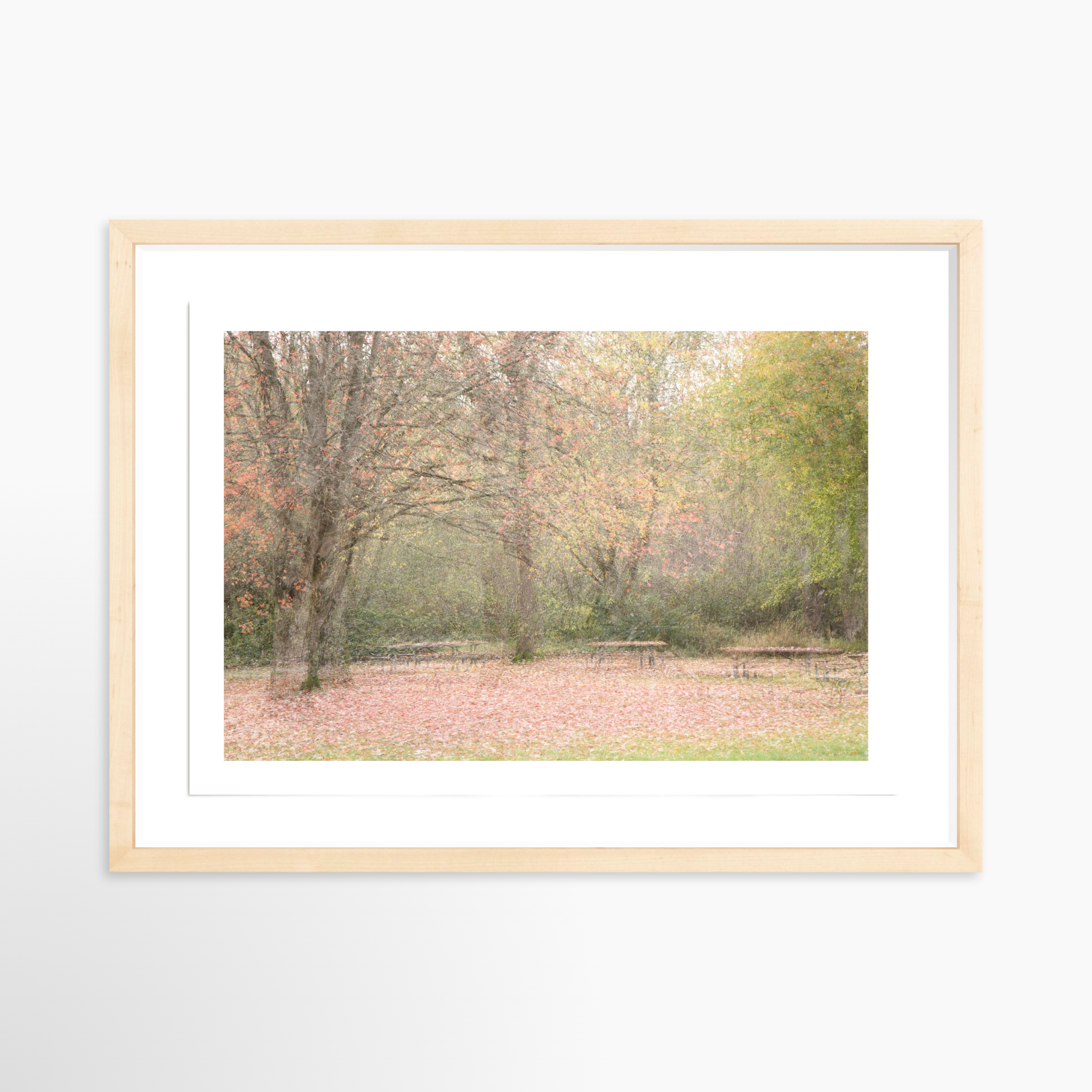 12x18 / Print / Natural