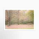 16x24 / Print / None