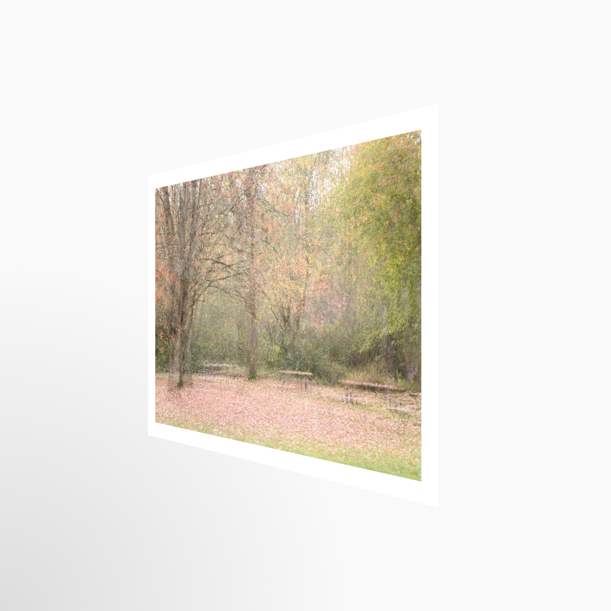 16x24 / Print / None