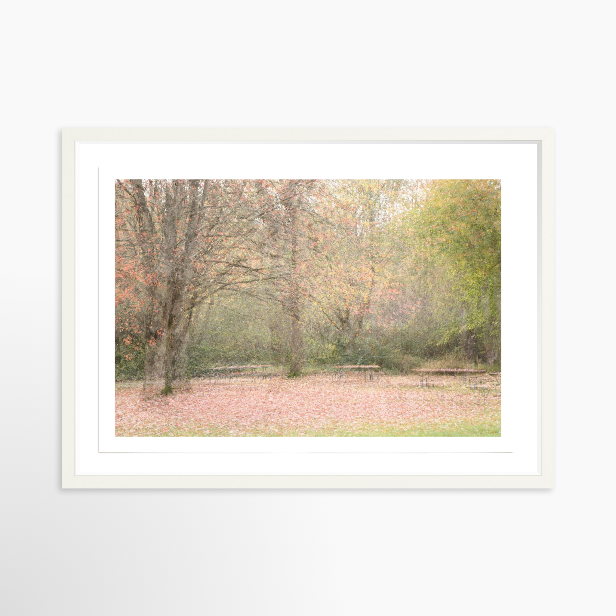 16x24 / Print / White