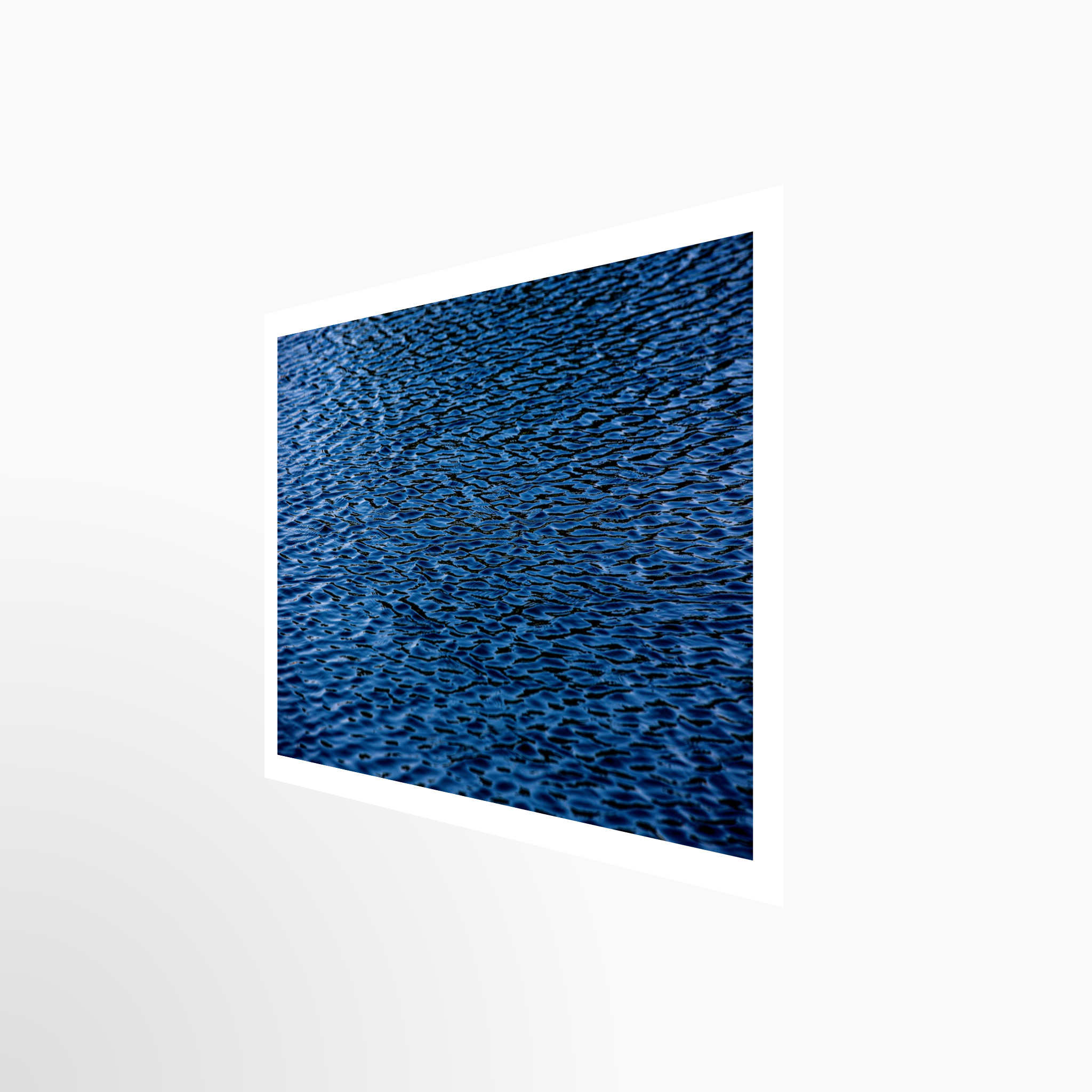 16x24 / Print / None