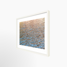 16x24 / Print / White