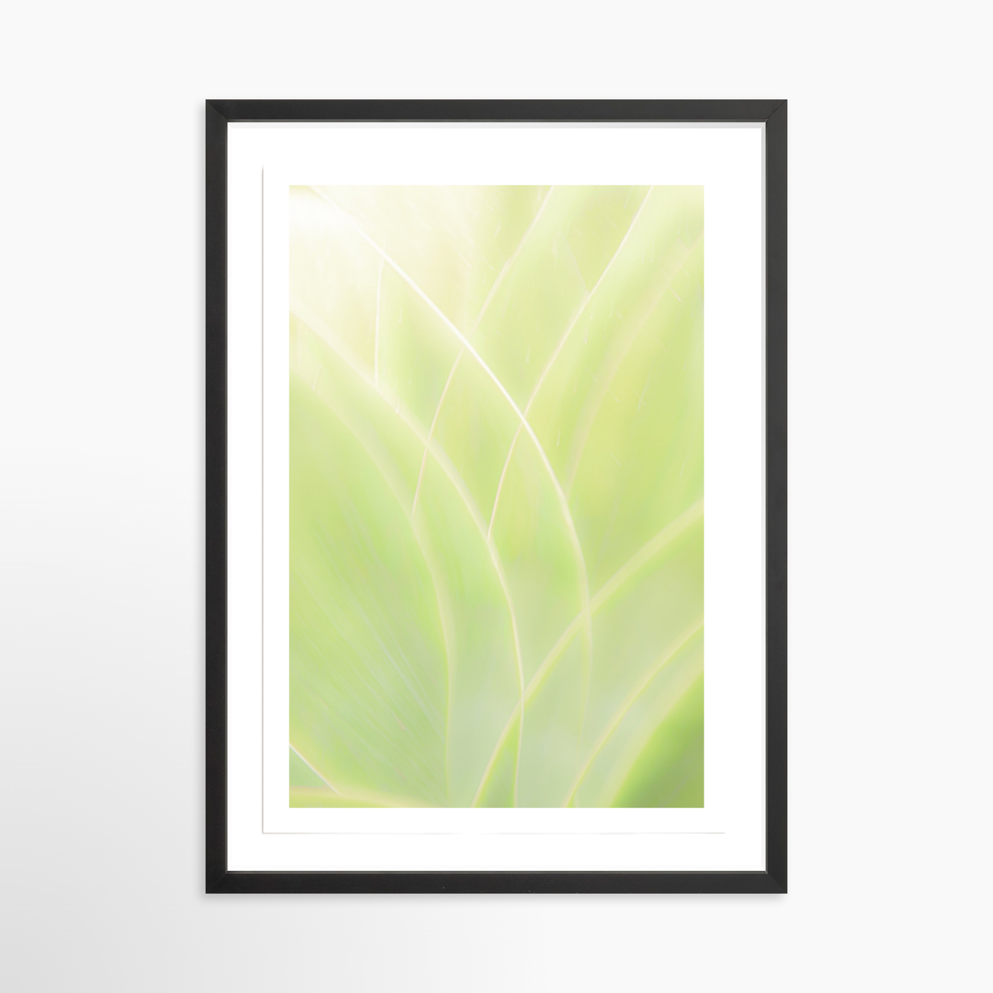 16x24 / Print / Black