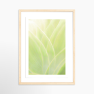 12x18 / Print / Natural