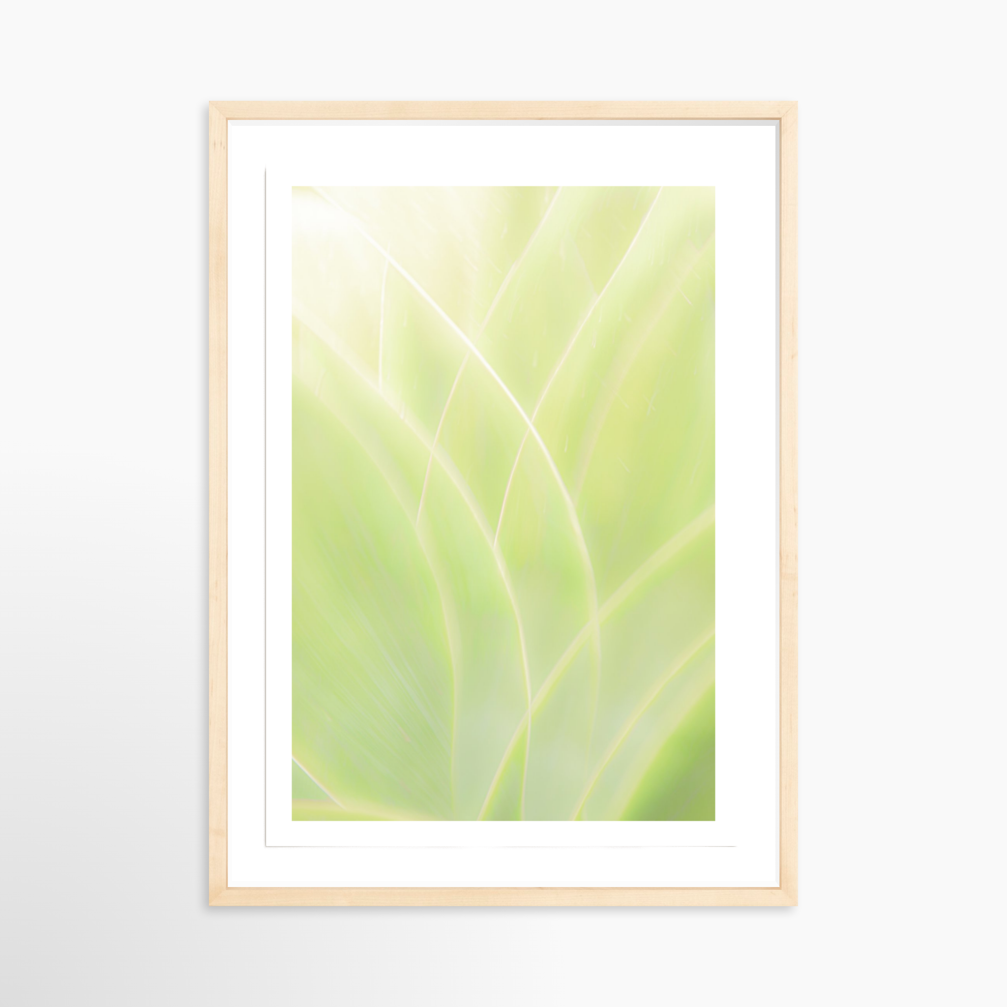 16x24 / Print / Natural