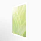 16x24 / Print / None