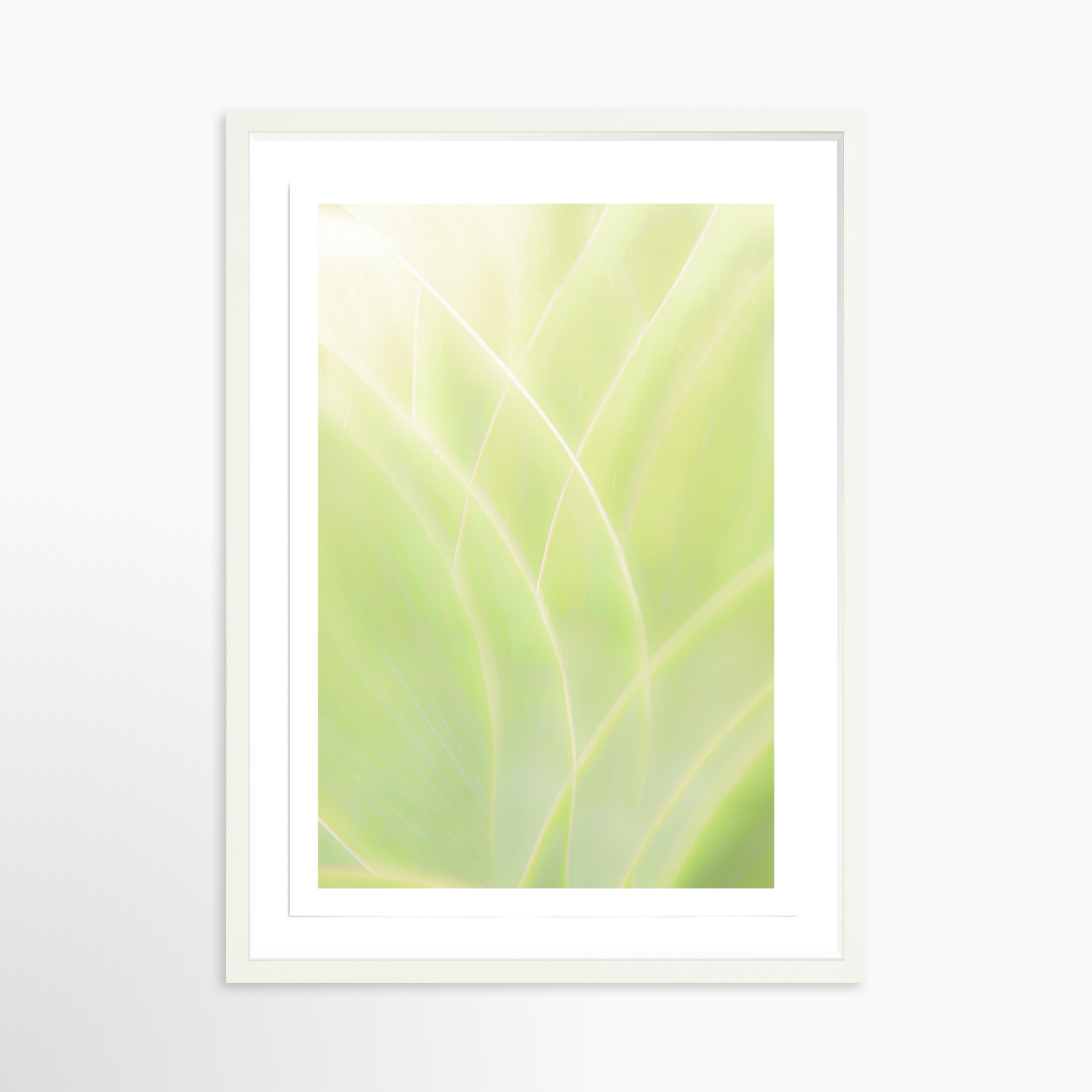 16x24 / Print / White
