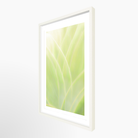 16x24 / Print / White