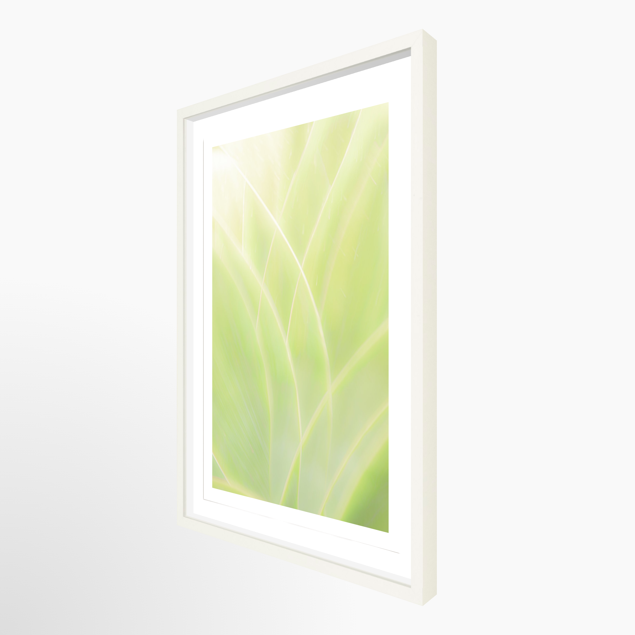 16x24 / Print / White