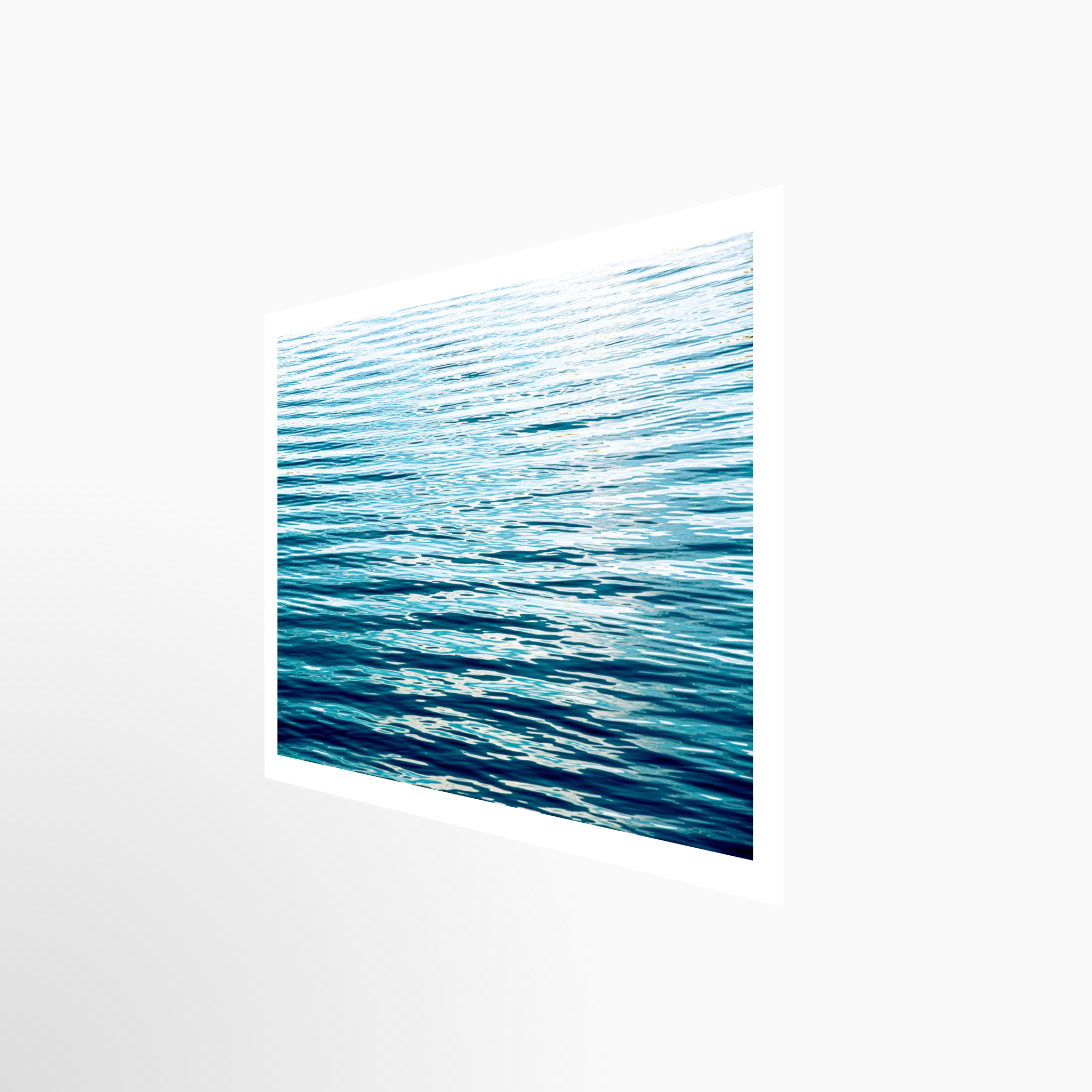 16x24 / Print / None