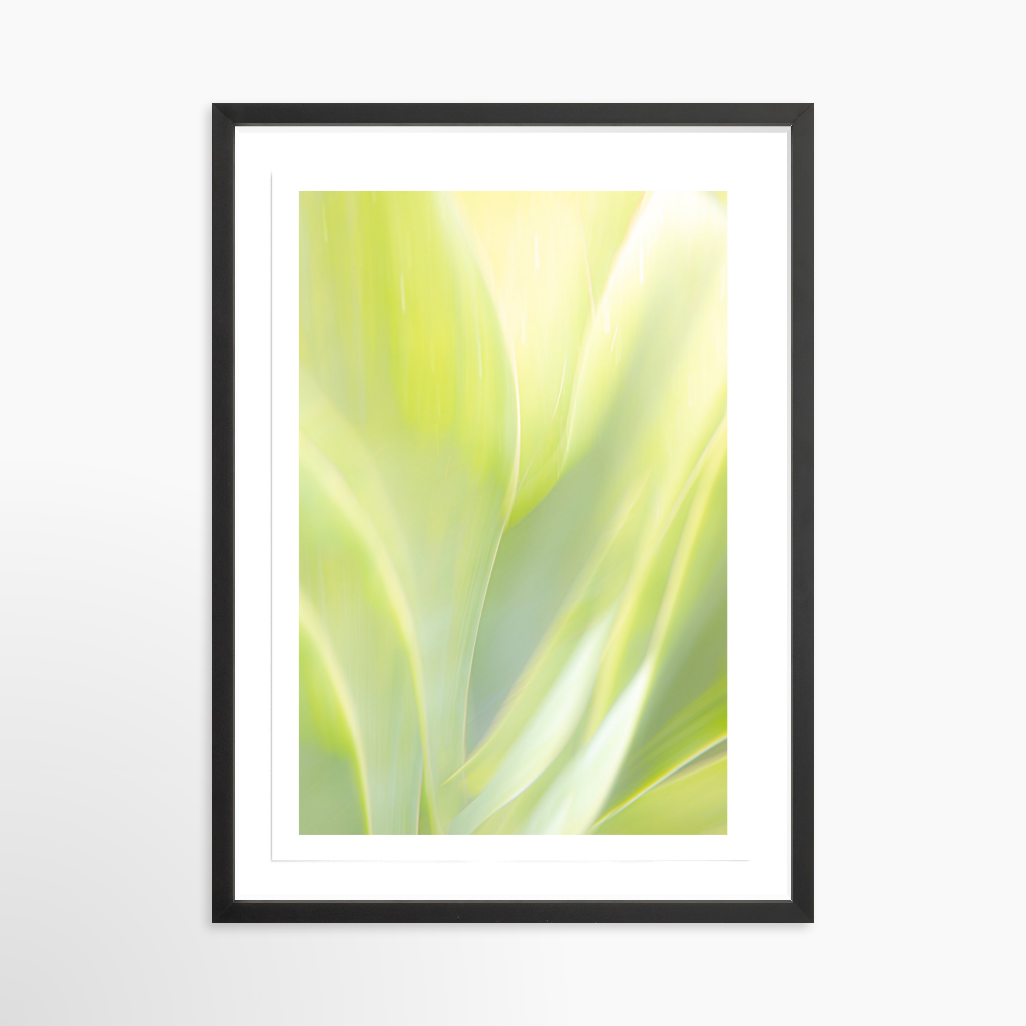 16x24 / Print / Black