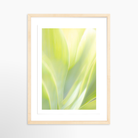 12x18 / Print / Natural