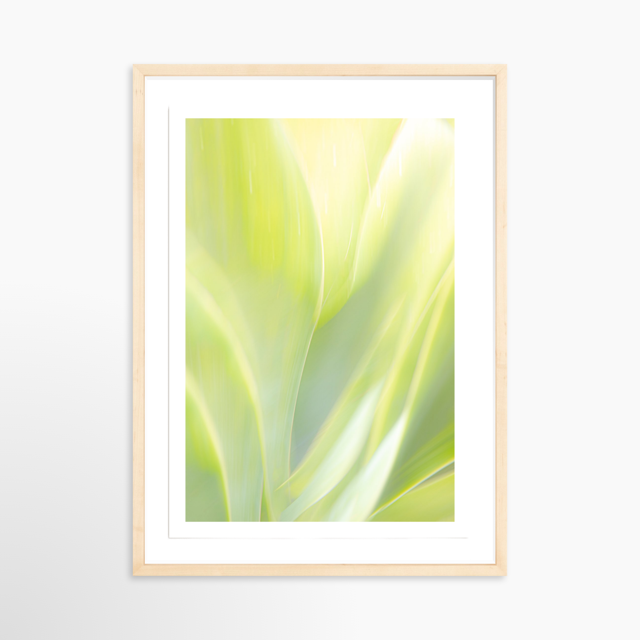 16x24 / Print / Natural