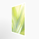 16x24 / Print / None