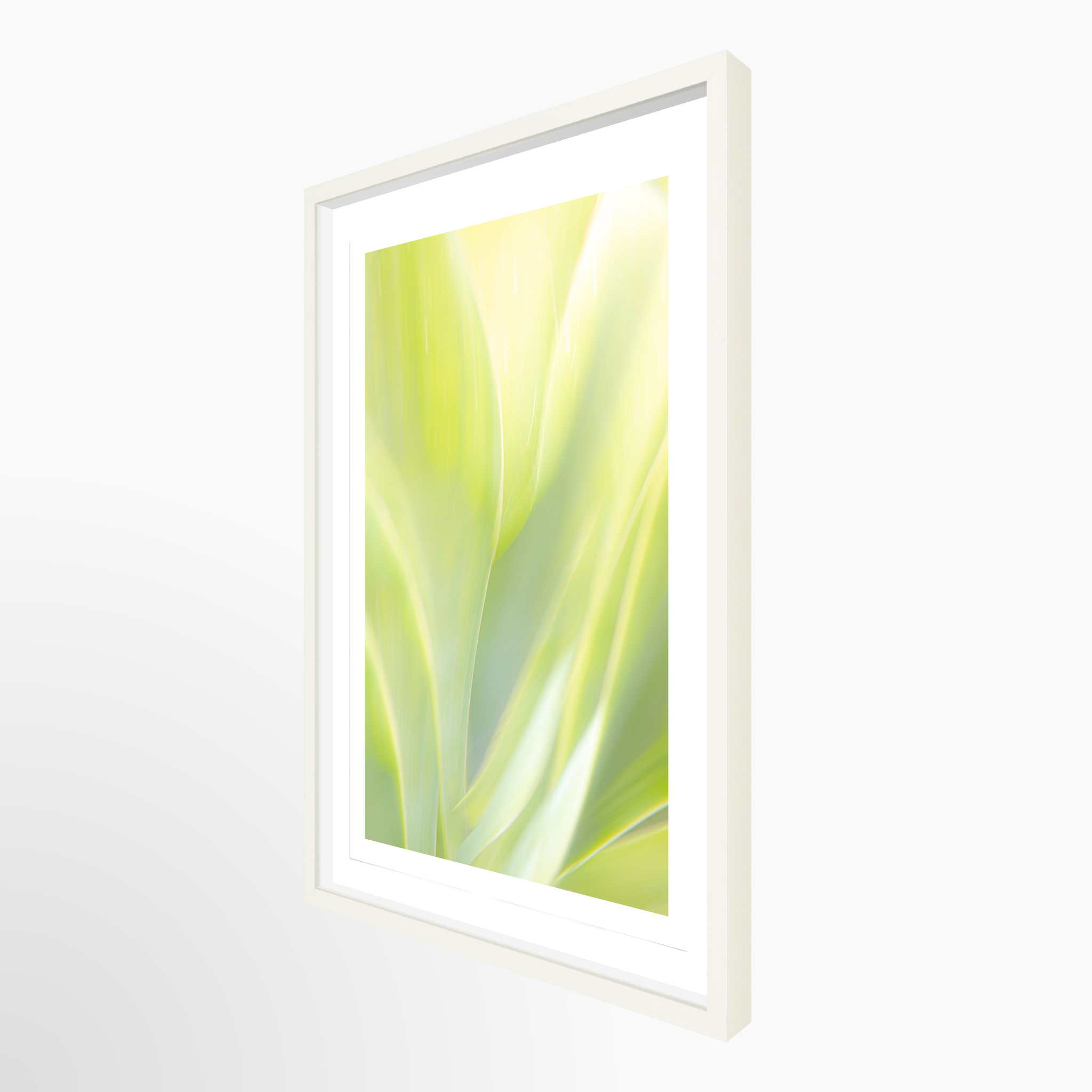 16x24 / Print / White