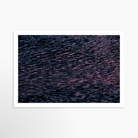 16x24 / Print / None
