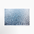 16x24 / Print / None