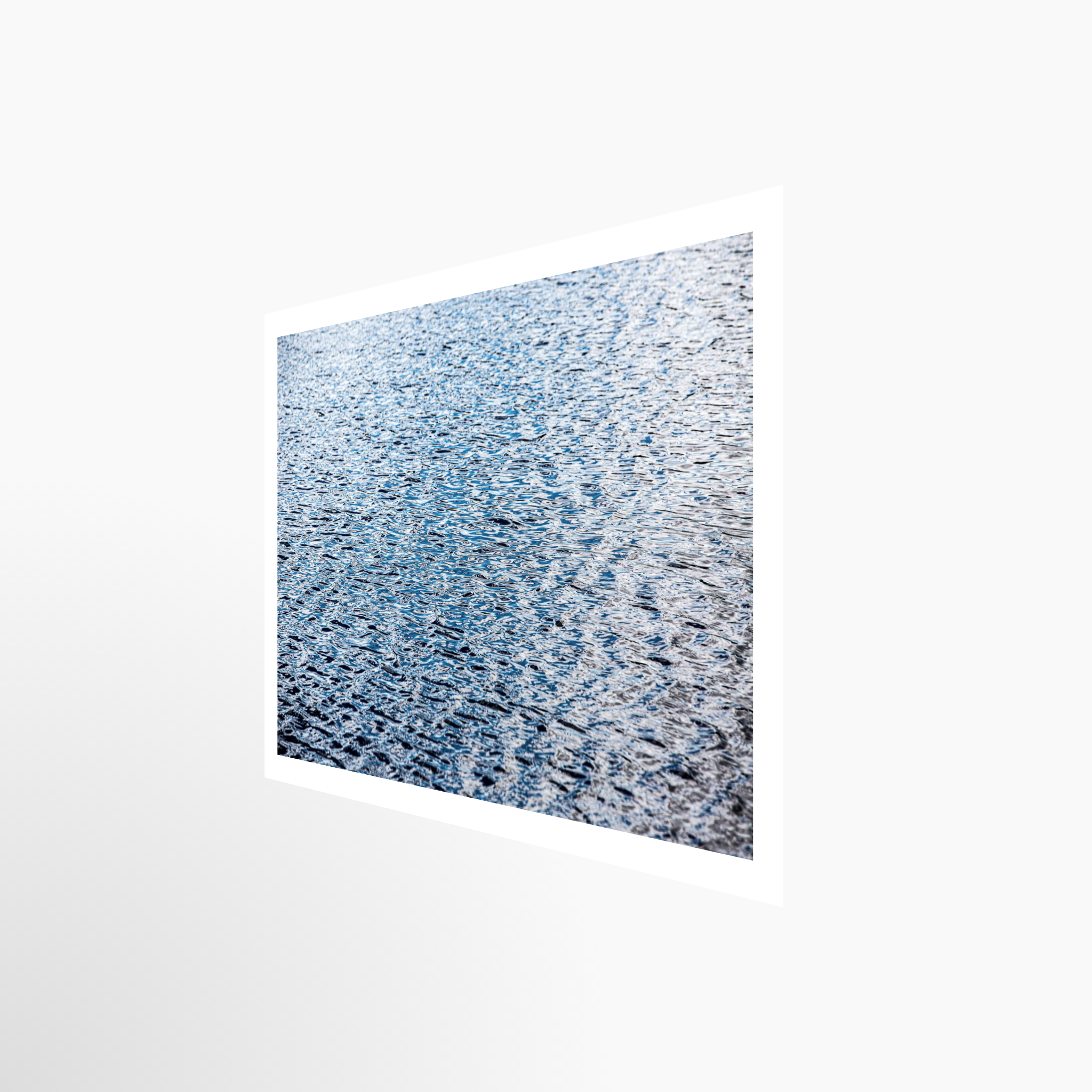 16x24 / Print / None